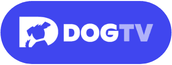 Dog TV- icon