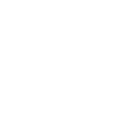 Fractional Force