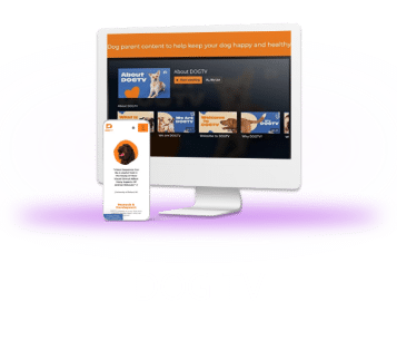 Dog TV- SCREENS