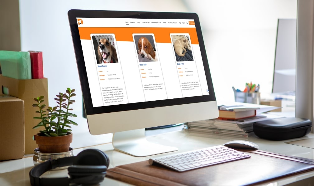 DOGTV -Case Studies